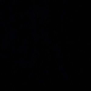 Meet your Posher, Isaac